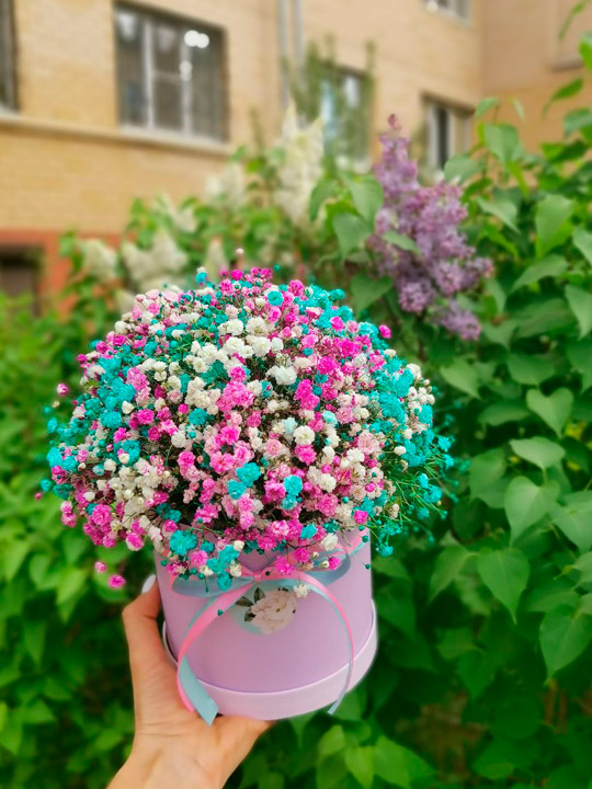 Шляпная коробка с гипсофилой