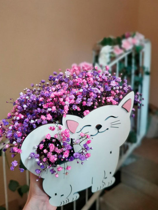 Деревянный котик с гипсофилой